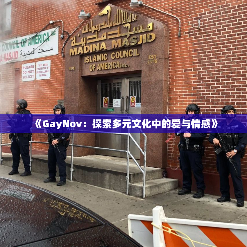 《GayNov：探索多元文化中的爱与情感》
