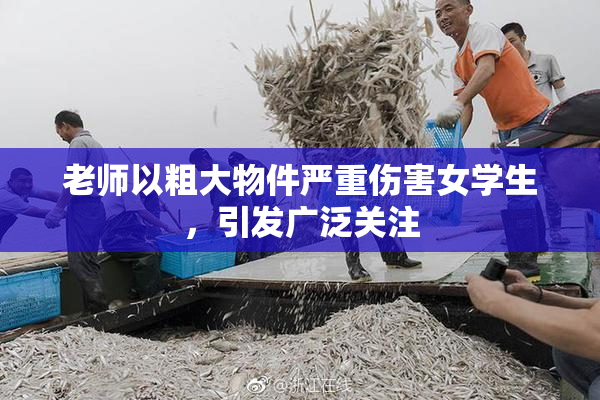 老师以粗大物件严重伤害女学生，引发广泛关注
