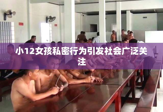 小12女孩私密行为引发社会广泛关注