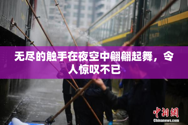 无尽的触手在夜空中翩翩起舞，令人惊叹不已