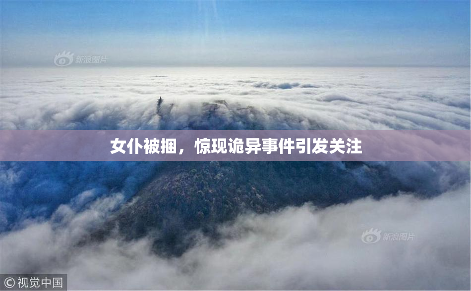女仆被捆，惊现诡异事件引发关注
