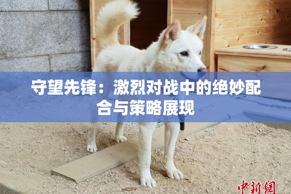 守望先锋：激烈对战中的绝妙配合与策略展现