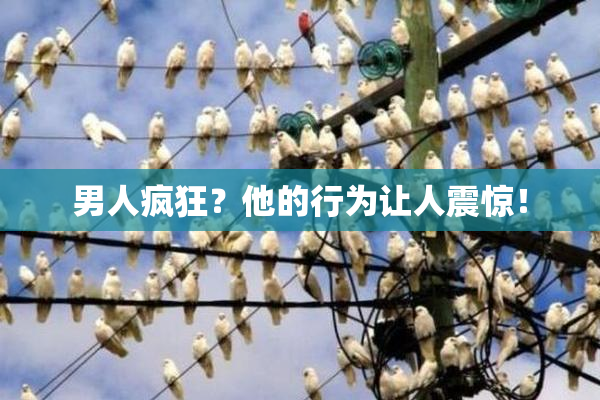 男人疯狂？他的行为让人震惊！
