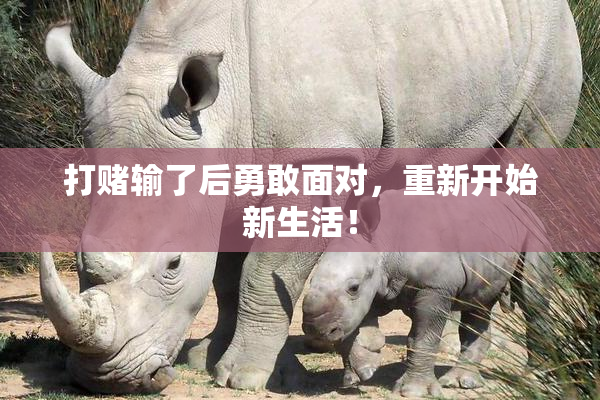 打赌输了后勇敢面对，重新开始新生活！