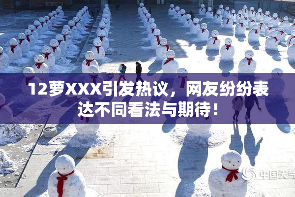 12萝XXX引发热议，网友纷纷表达不同看法与期待！