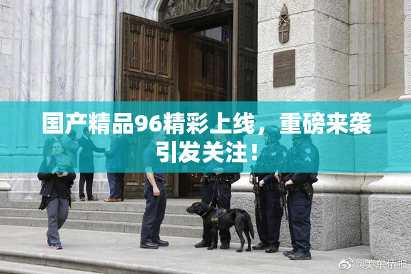 国产精品96精彩上线，重磅来袭引发关注！