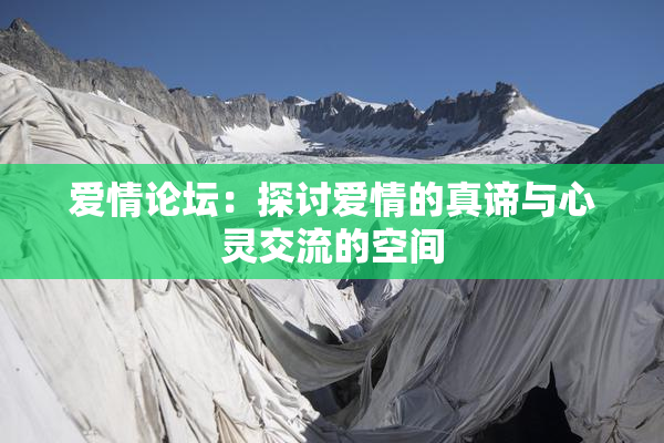 爱情论坛：探讨爱情的真谛与心灵交流的空间