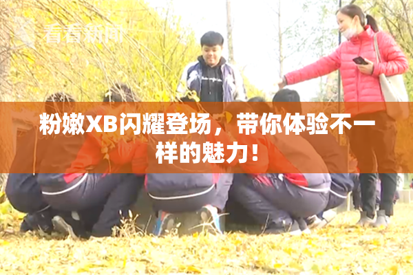 粉嫩XB闪耀登场，带你体验不一样的魅力！
