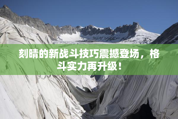刻晴的新战斗技巧震撼登场，格斗实力再升级！