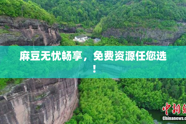 麻豆无忧畅享，免费资源任您选！