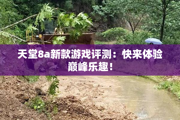 天堂8a新款游戏评测：快来体验巅峰乐趣！