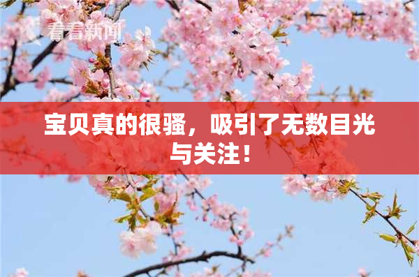 宝贝真的很骚，吸引了无数目光与关注！