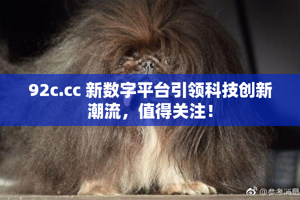 92c.cc 新数字平台引领科技创新潮流，值得关注！