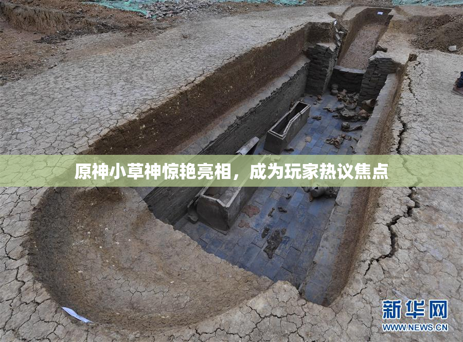 原神小草神惊艳亮相，成为玩家热议焦点
