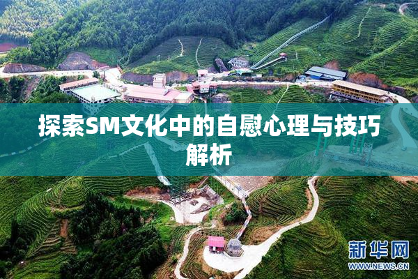 探索SM文化中的自慰心理与技巧解析