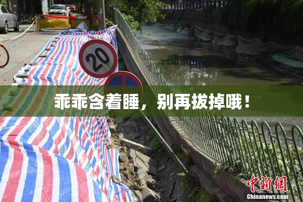 乖乖含着睡，别再拔掉哦！
