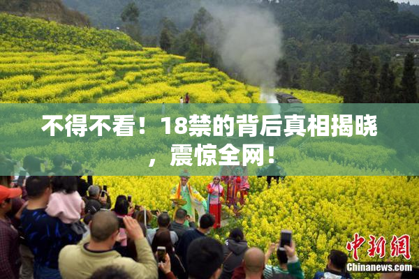 不得不看！18禁的背后真相揭晓，震惊全网！