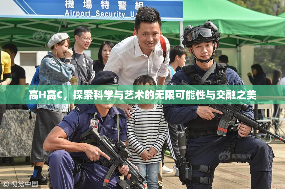 高H高C，探索科学与艺术的无限可能性与交融之美