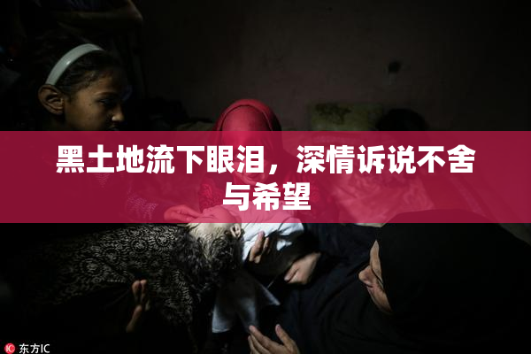 黑土地流下眼泪，深情诉说不舍与希望