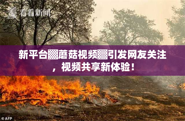 新平台▓蘑菇视频▓引发网友关注，视频共享新体验！