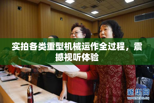 实拍各类重型机械运作全过程，震撼视听体验