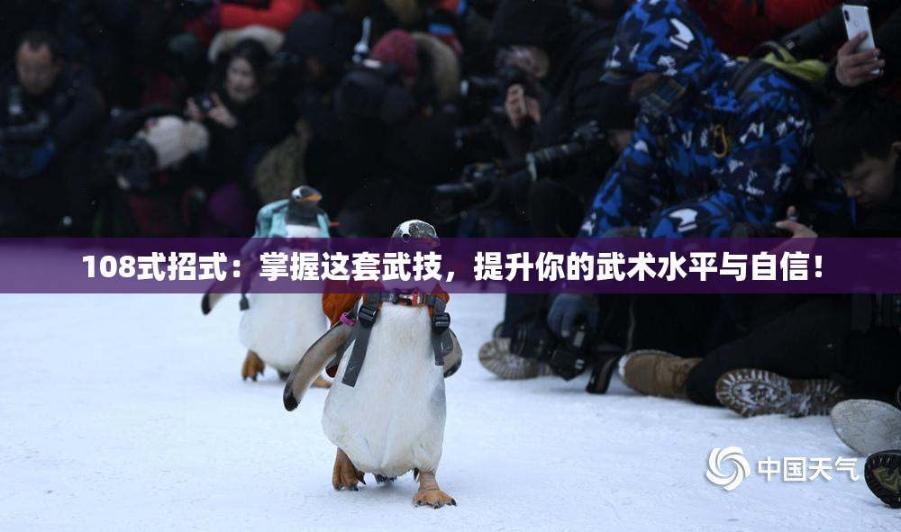 108式招式：掌握这套武技，提升你的武术水平与自信！