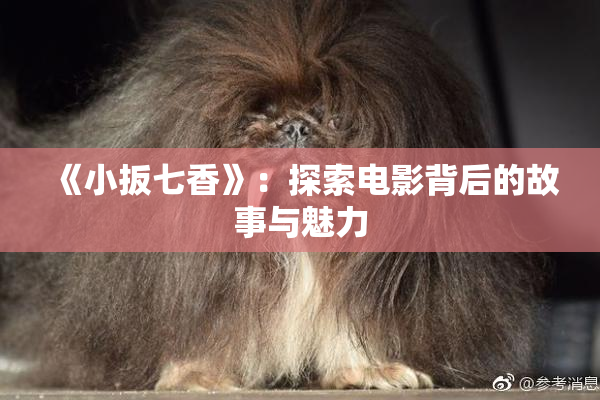 《小扳七香》：探索电影背后的故事与魅力
