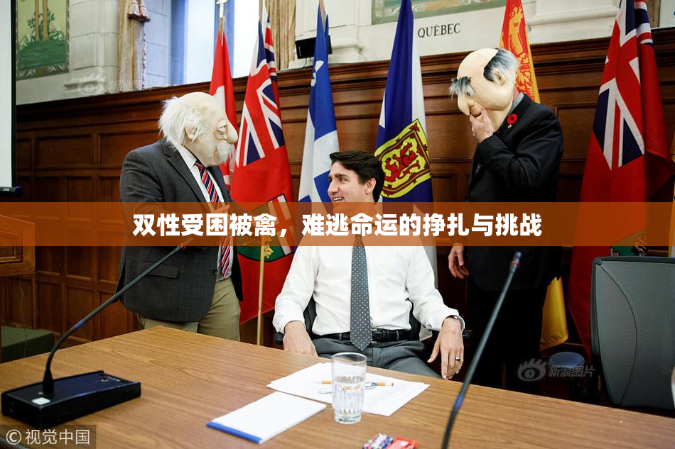 双性受困被禽，难逃命运的挣扎与挑战
