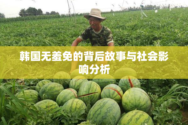 韩国无羞免的背后故事与社会影响分析