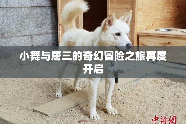 小舞与唐三的奇幻冒险之旅再度开启