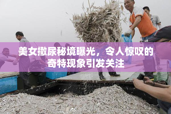 美女撒尿秘境曝光，令人惊叹的奇特现象引发关注