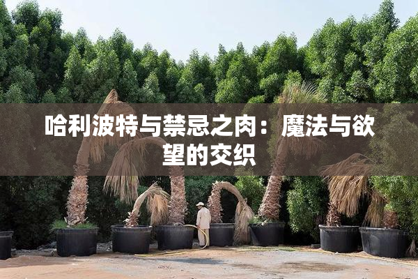 哈利波特与禁忌之肉：魔法与欲望的交织