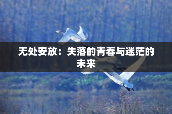 无处安放：失落的青春与迷茫的未来