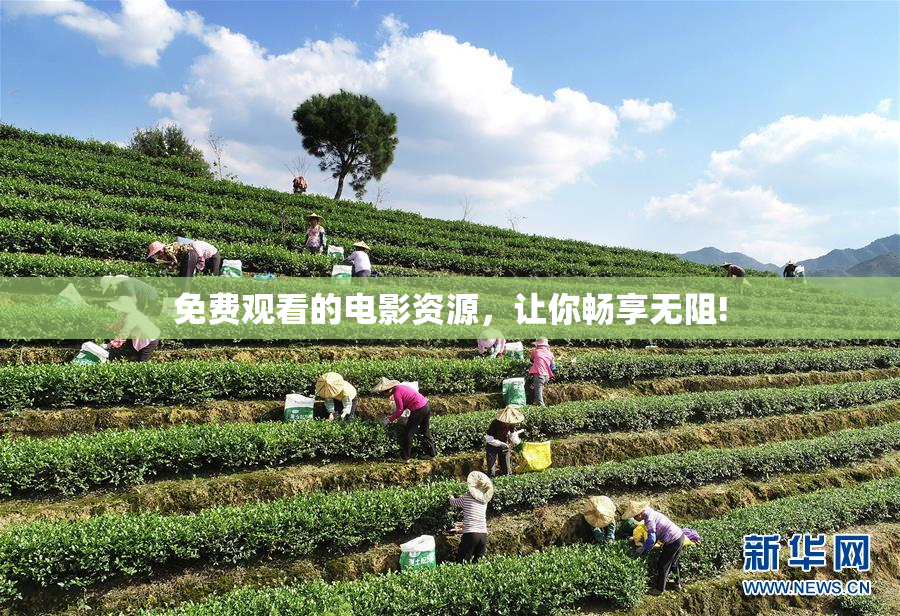 免费观看的电影资源，让你畅享无阻!