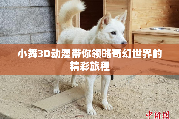 小舞3D动漫带你领略奇幻世界的精彩旅程