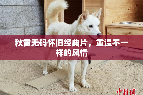 秋霞无码怀旧经典片，重温不一样的风情