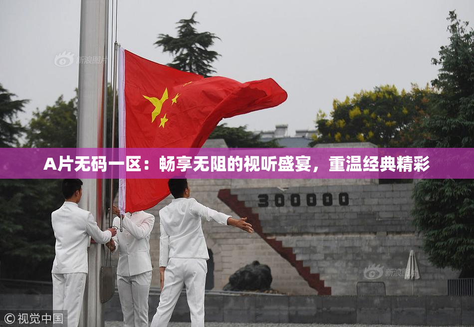 A片无码一区：畅享无阻的视听盛宴，重温经典精彩