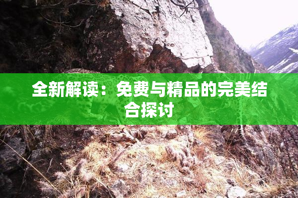 全新解读：免费与精品的完美结合探讨