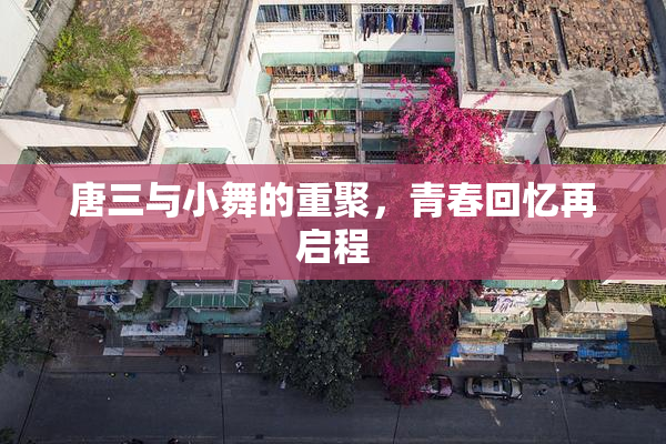 唐三与小舞的重聚，青春回忆再启程