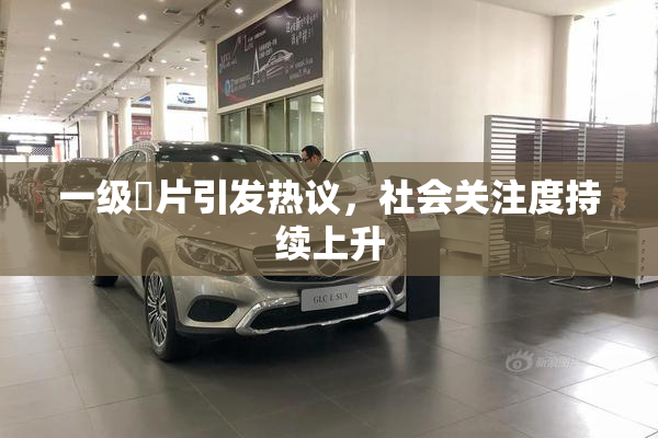 一级婬片引发热议，社会关注度持续上升