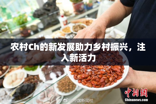 农村Ch的新发展助力乡村振兴，注入新活力