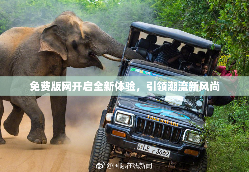免费版网开启全新体验，引领潮流新风尚
