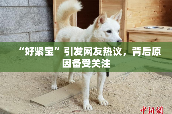 “好紧宝”引发网友热议，背后原因备受关注