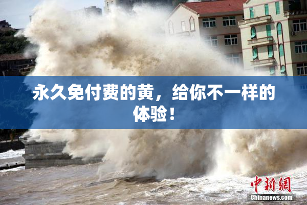 永久免付费的黄，给你不一样的体验！