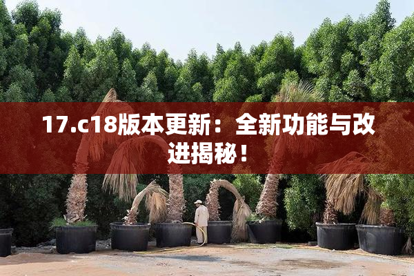17.c18版本更新：全新功能与改进揭秘！