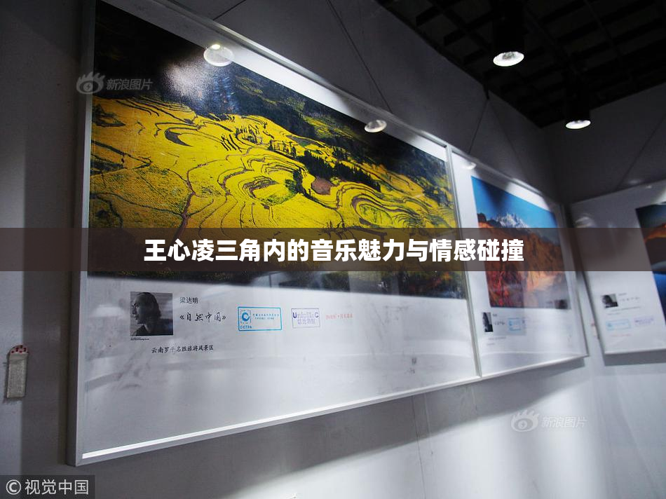 王心凌三角内的音乐魅力与情感碰撞
