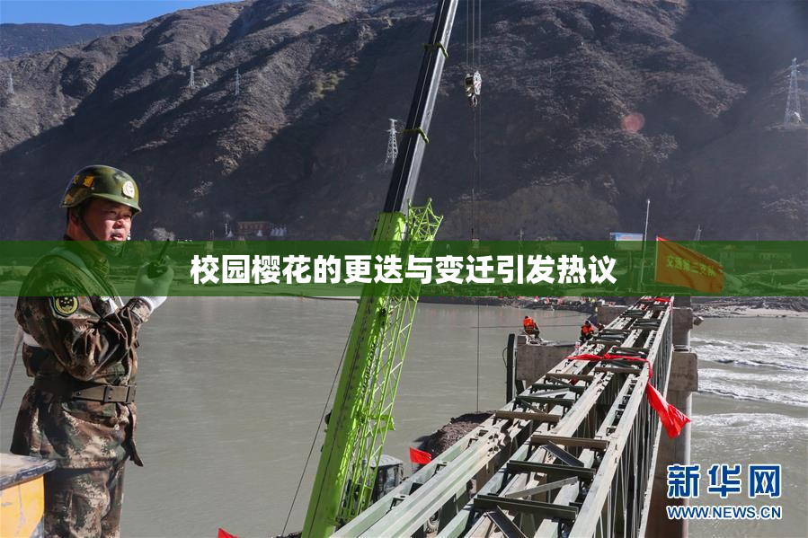 校园樱花的更迭与变迁引发热议