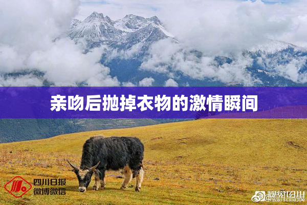 亲吻后抛掉衣物的激情瞬间