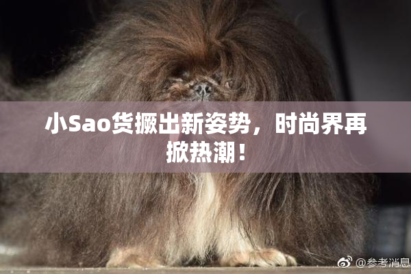 小Sao货撅出新姿势，时尚界再掀热潮！