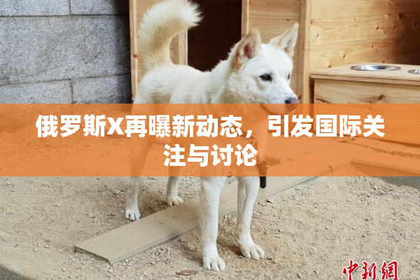 俄罗斯X再曝新动态，引发国际关注与讨论
